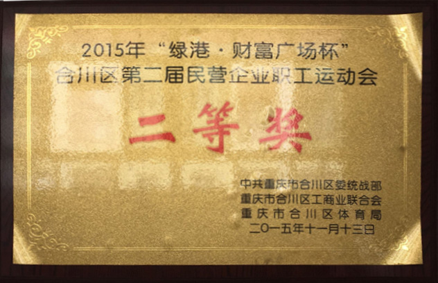 2015年合川區(qū)第二屆民營企業(yè)職工運(yùn)動會